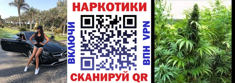Купить наркоту Новоузенск Бошки Шишки APVP ГАШИШ blacksprut вход COCAIN Псилоцибиновые грибы