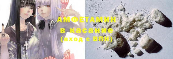 стафф Алексин