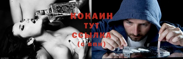 прущий лед Алзамай