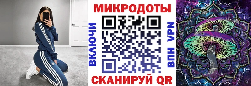 Псилоцибиновые грибы Cubensis  купить   Новоузенск 